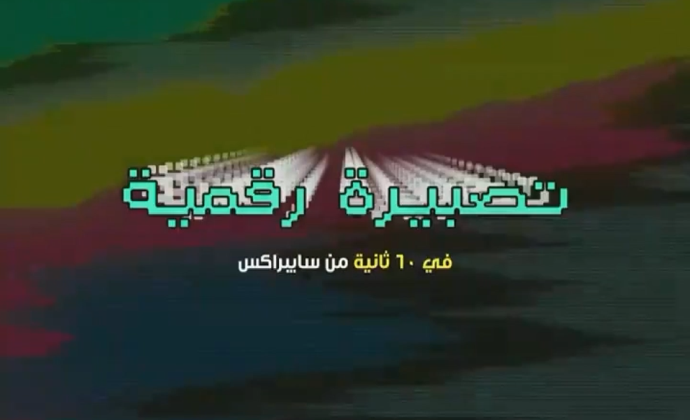 ثغرات يوم الصفر