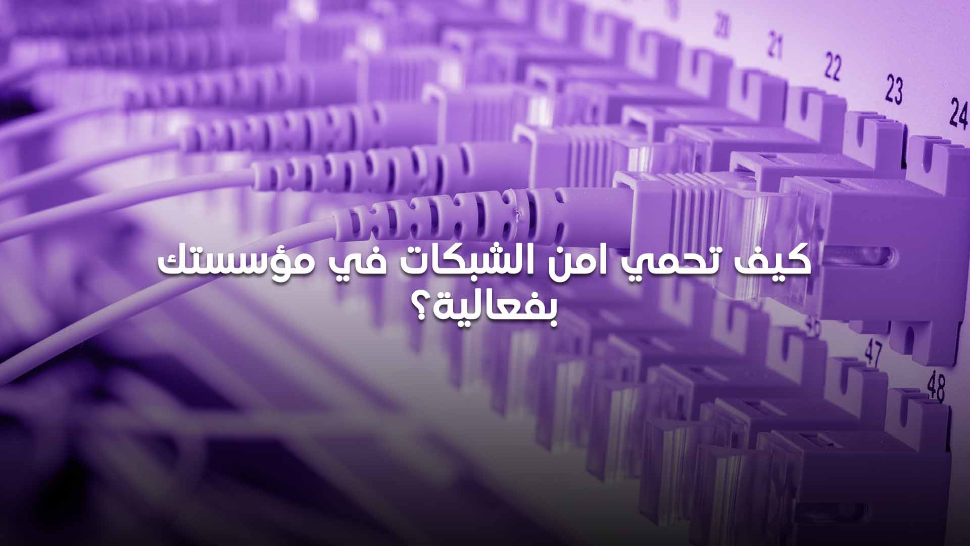 امن الشبكات